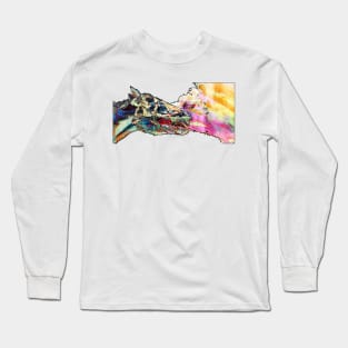 Abstract Horse Long Sleeve T-Shirt